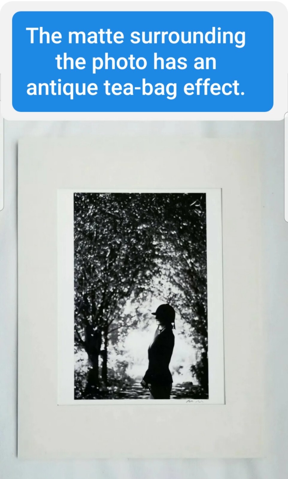 ROBIN RICE 1st-ed signed 1-of-25 equestrian horseback derby racing framed photo