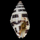 Foto 2 di 3
