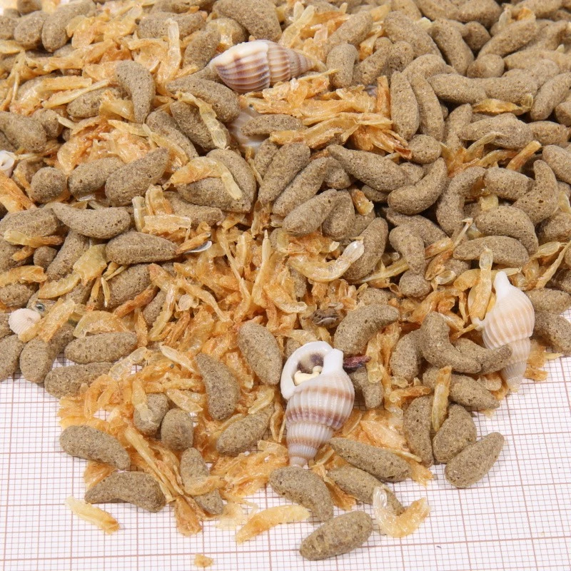 JBL PROTERRA MOLLUSCUS- Schildkrötenfutter für Wasser & Sumpfschildkröten 2,5 l - Bild 2 von 2