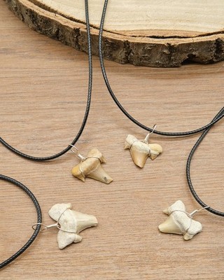 Broken Otodus Shark Tooth Pendant Necklace Fossil Black Waxed Cord x 1 Piece