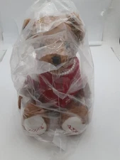 The Delta Box - Delta Sigma Theta Sorority Bear with Sweater