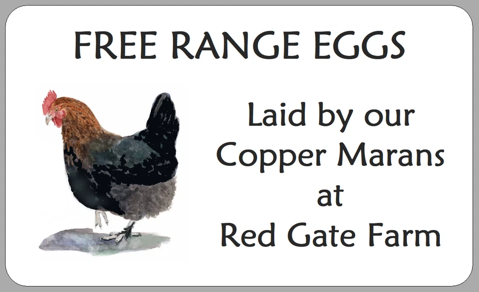 THE LITTLE LABEL COMPANY Copper Maran Hen Egg Box Labels Small Personalised Watercolour Carton Stickers