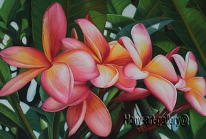 modern abstract plumeria flowers