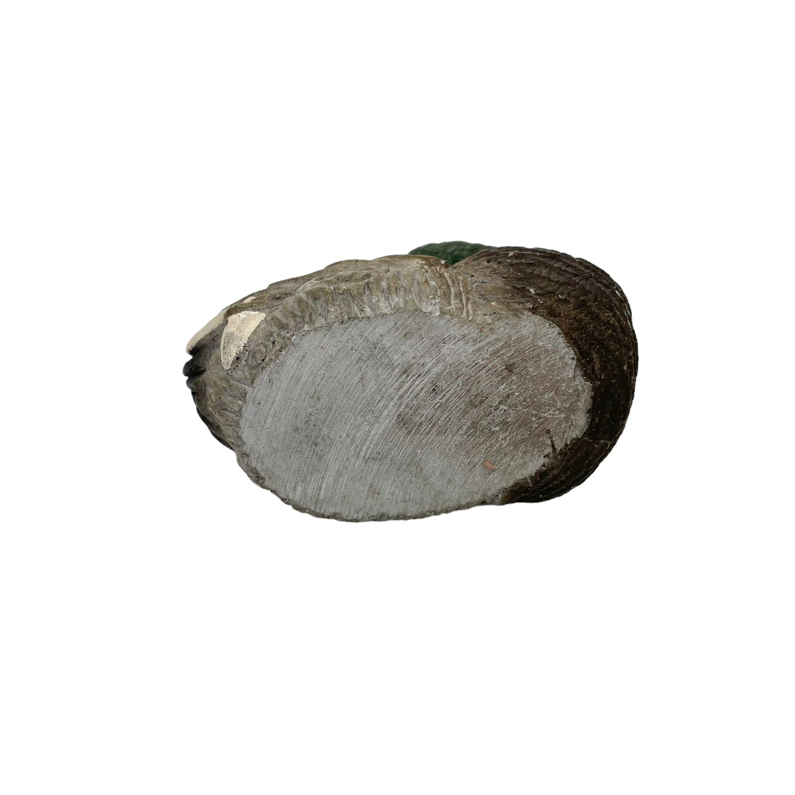 Picture 7 of 10