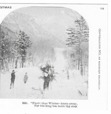 Haste Thee Winter, Hast Away..., 1978 Reproduction Stereoview