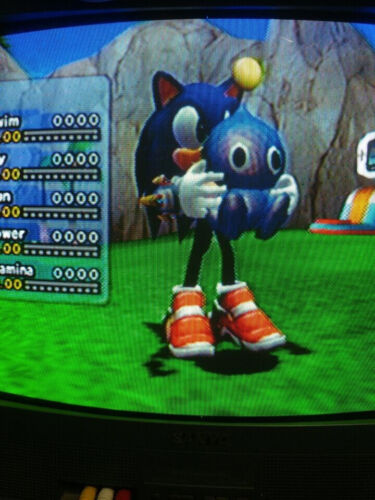 Sonic Adventure 2 Battle Chao Garden Knuckles Tails Amy Memory Card Gamecube AR - Picture 12 of 24