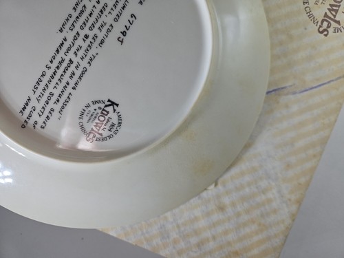 "The Cooking Lesson" By Norman Rockwell Collectors Plate Mothers Day 1982 - Picture 5 of 6