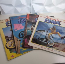 eBay Auction Picture