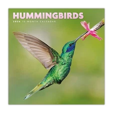 Carousel Calendars,  Hummingbirds Special Value 2026 Mini Wall Calendar, 7'' X 7