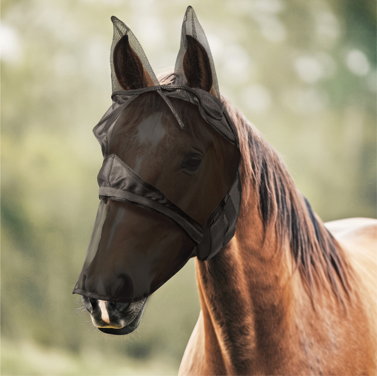 Mascara para Caballos Antimoscas - Proteccion de Cabeza Respirable Anti Moscas