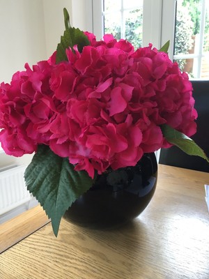 Dark Pink Hydrangea In Black Gl Goldfish Bowl Ebay Dark Pink Hydrangea In Black Gl Goldfish Bowl Ebay