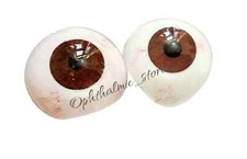 Pair Of Brown Artificial Eye Prosthetic Ocular With Free Shipping