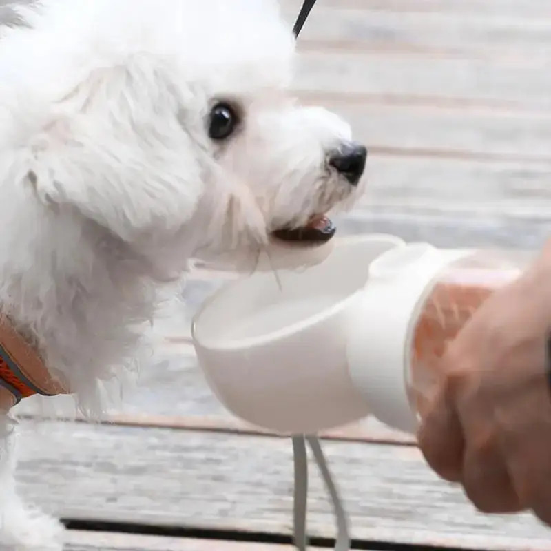 Portable water Dispenser bottle 2 in 1 Style Pink for dog pet puppy outside walk