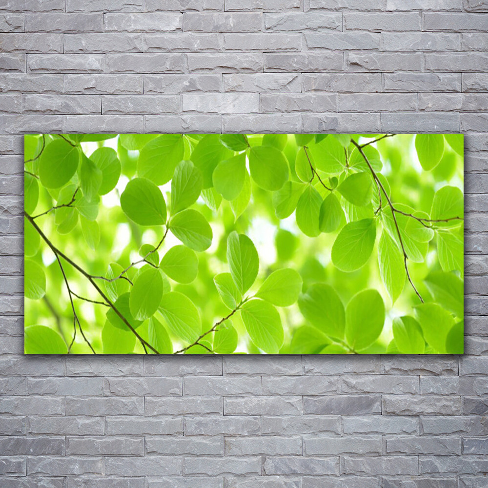Tableau impression sur verre de prestige motif feuilles vertes 120x60