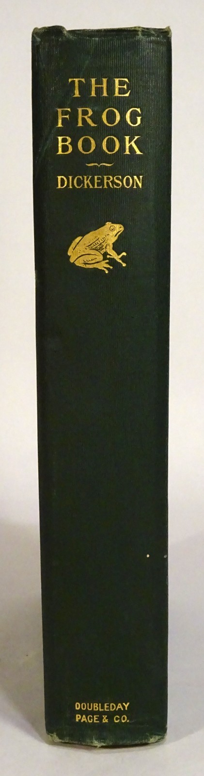 Foto 3 di 9