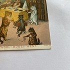 Foto 5 di 11