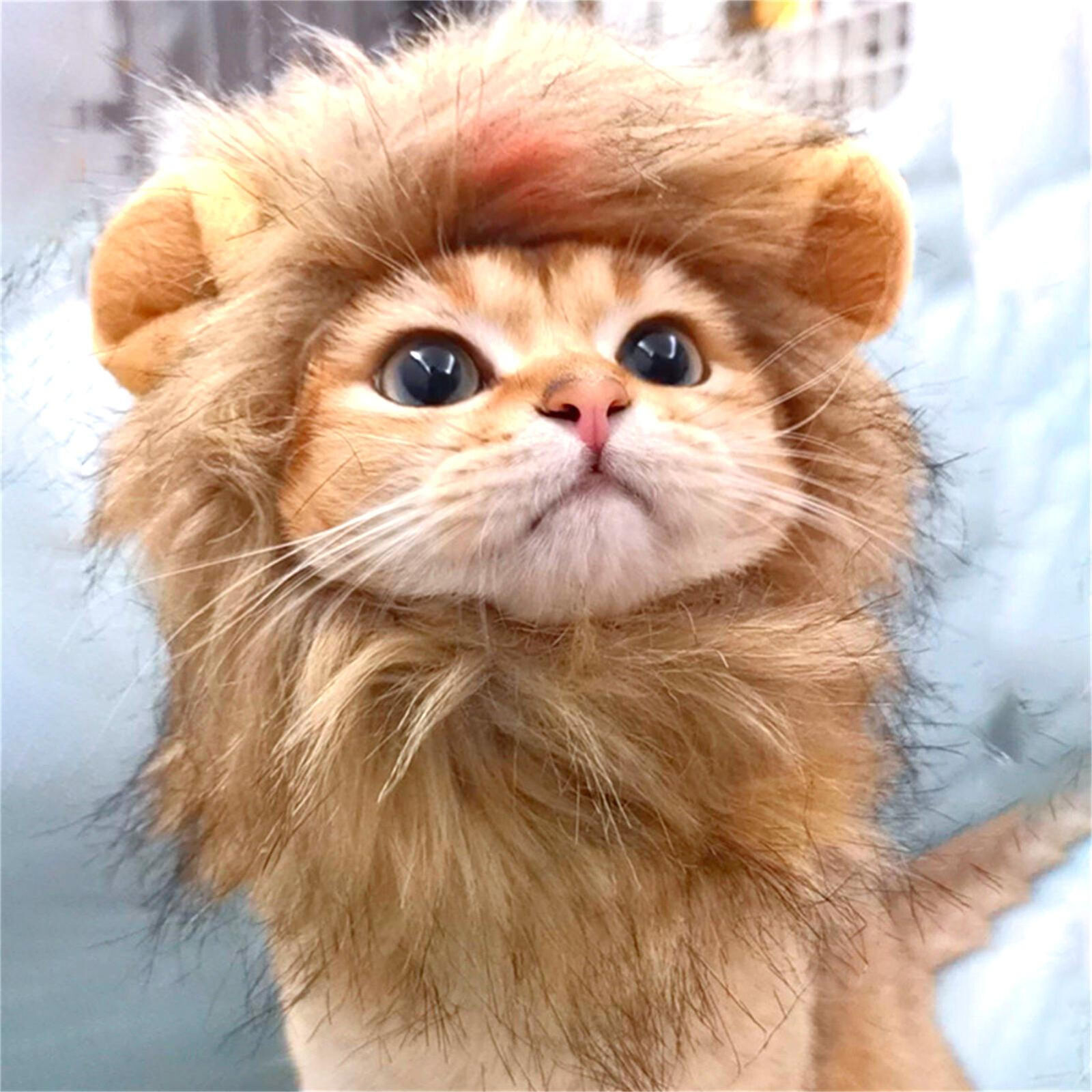 Cat Costume Cute Lion Mane Wig Hat for Cat Puppy Dog Decor Accessories Cat Wig