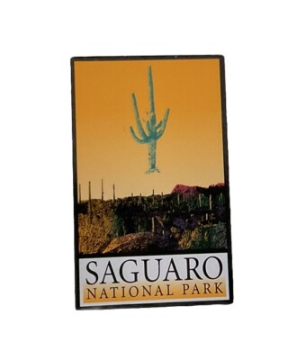 Saguaro National Park Lapel Pin Arizona Desert Cactus Souvenir | eBay