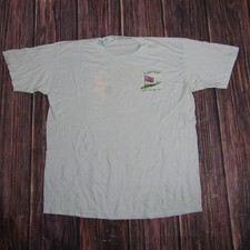 Jerzees T-Shirt Mens L Light Green Albertson Long Island NY Vintage USA Made