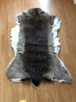 Fallow deer skin hide fur pelt rug home decor gothic shamanic interior ornament