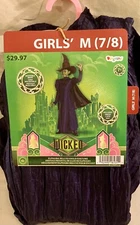 Wizard Of Oz Wicked Witch Costume Dress-Up Elphaba Christmas Halloween