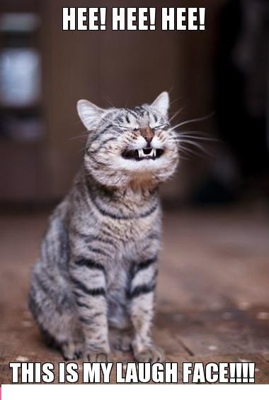 FUNNY CAT LAUGHING REFRIGERATOR LOCKER GLOSSY MAGNET CHRISTMAS MAN