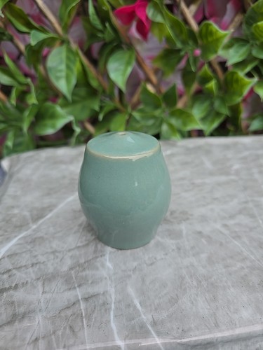 Vintage Rustic 1960s Denby Stoneware Manor Green Salt Pot Shaker H2½"