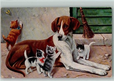 10316386 - Hund und Kaetzchen , Schmetterling F.E.D. Serie 477  Katze 1912