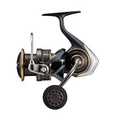 Daiwa 22 CALDIA SW 6000S-H 5.7 Spinning Reel | eBay