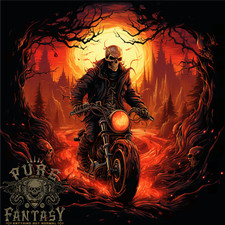 Skull Biker Motorcycle Motorbike Grim Reaper 30 Mens T-Shirt 100 Cotton