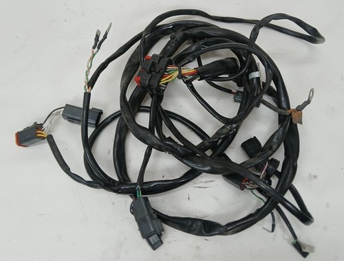 Harley-Davidson 2009 CVO Electra Amplifier Wiring Harness 70179-06A