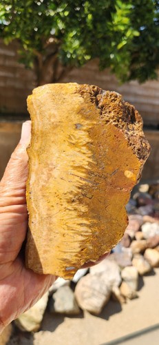 Mojave Desert Faced Premium Sagenite Rough 6"X4"X3" 4.2 Pounds See Video - Bild 2 von 7