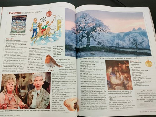 Country Life Magazine (UK) - 11th / 18th December 2024 - Christmas Double Issue - Picture 3 of 4