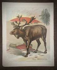 Antique Children’s Book Chromolithograph 1905 Friendly Animals Reindeer & Donkey