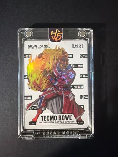 Sack King Bruce Tecmo Bowl Bo Jackson Battle Arena Sore Thumb 160 Fire ST297