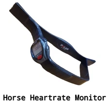 Horse Equine Heart Rate Monitor - Handheld for training and competition