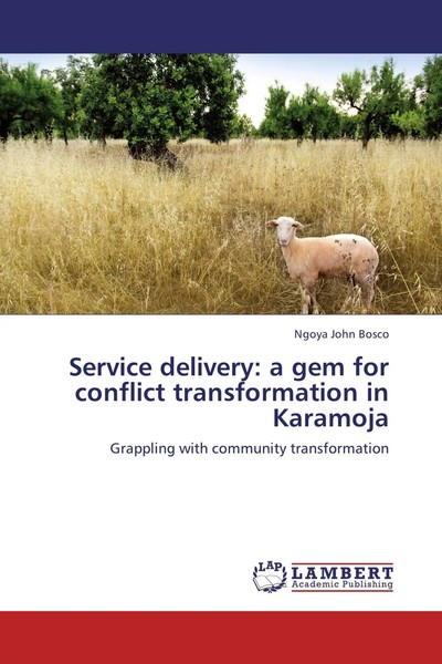 Ngoya John Bosco | Service Delivery: A Gem For Conflict Transformation In...-image