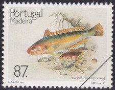 Specimen, Portugal Madeira Sc135 Fish, Coris julis