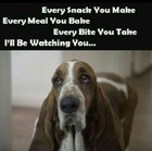 Funny Basset Hound refrigerator magnet 3 1/2x 4 1/2 " Made in Usa