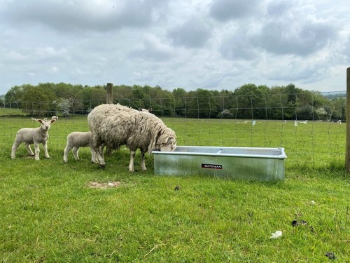 BATEMAN LOW LEVEL 4FT WATER TROUGH 1200mm Planter Galvanised Metal Livestock 1.2 - Picture 2 of 3