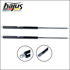 2 x Gasdruckfeder Gasfeder Gasdruckdämpfer 750NM Anhänger Heckklappe Transporter