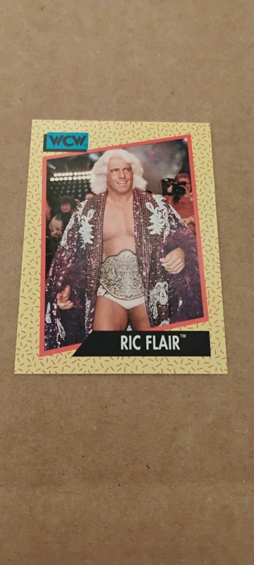 1991 Impel WCW - Ric Flair #44