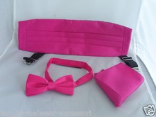 Hot Pink Polyester Mens Bow Tie  Cummerbund and Hankie Set