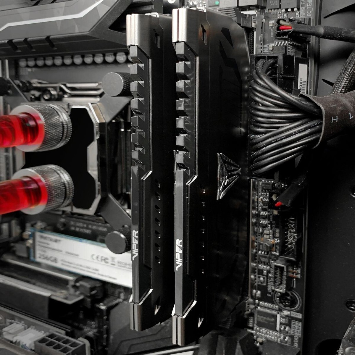 Patriot Viper Steel 64GB (2x32G) DDR4-3200 PC4-25600 C16 UDIMM XMP