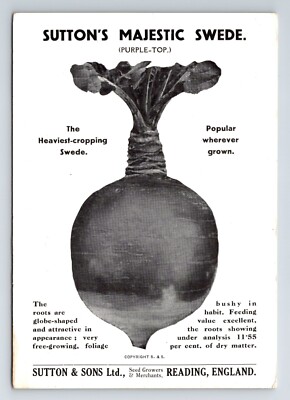 England: Lesen, Berkshire. Sutton & Son's Magestic Swede. Unbespielt.