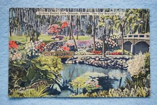 Dickson Azalea Park - Orlando, Florida - " The City Beautiful"