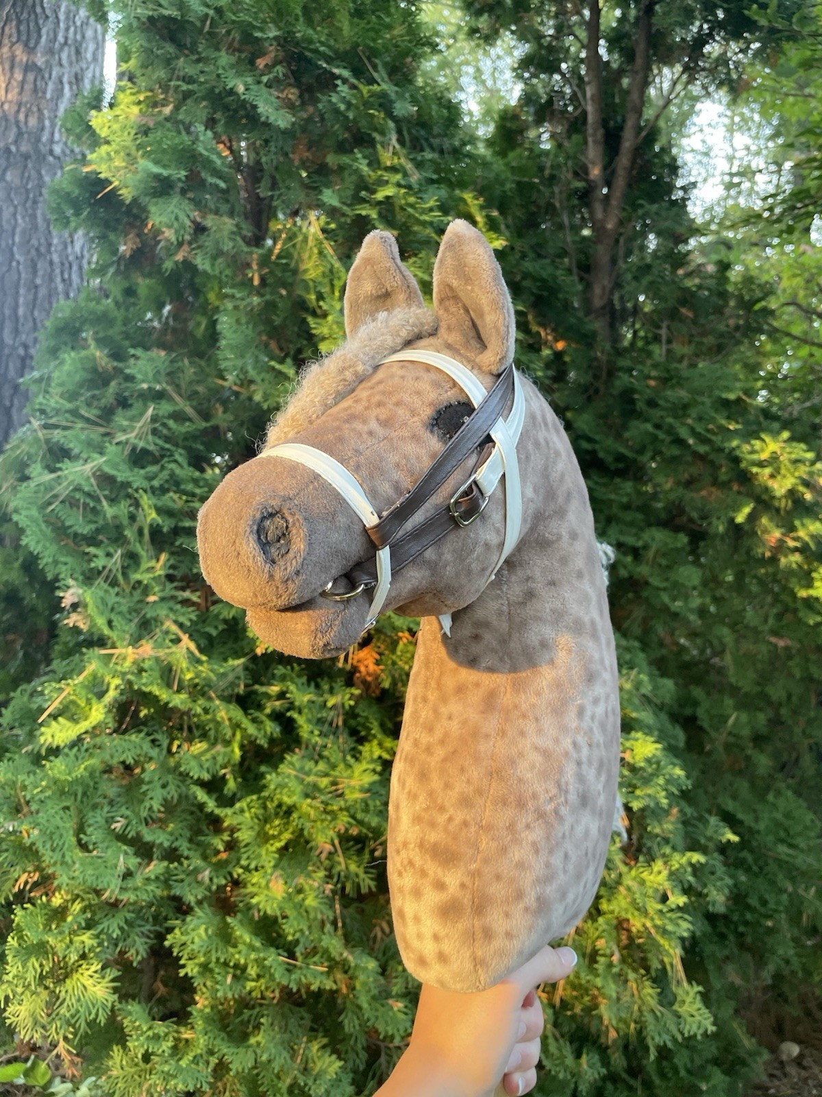 Hobby Horse Three Piece Multi-Use English Bridle 🦃🍂