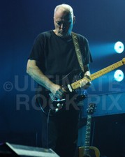 David Gilmour Photo Pink Floyd 8x10 Concert Photo by Marty Temme Black Strat 1A
