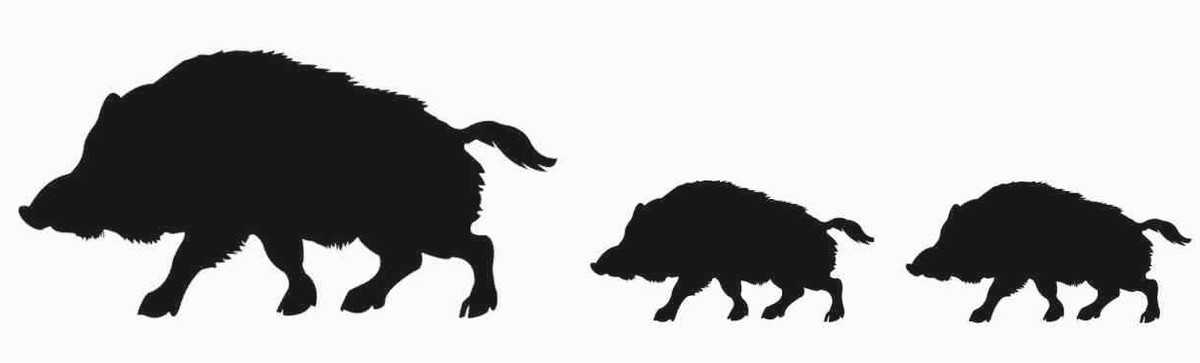 Wildschwein Aufkleber Folie Dekor für Auto Kfz Zubehör Keiler Kopf Motiv Wildsau Eber Jagen Jäger Förster Jagd Autoaufkleber (Gold, Klein K138 Wildschwein Aufkleber Folie Dekor für Auto Kfz Zubehör Keiler Kopf Motiv Wildsau Eber Jagen Jäger Förster Jagd Autoaufkleber (Gold, Klein K138