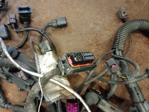 AUDI TT 1.8T BAM Engine Management Wiring Loom +LAMBDA APX? GOLF CONVERSION - Picture 6 of 24